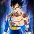 amino-principe vegeta-8d17a6f0