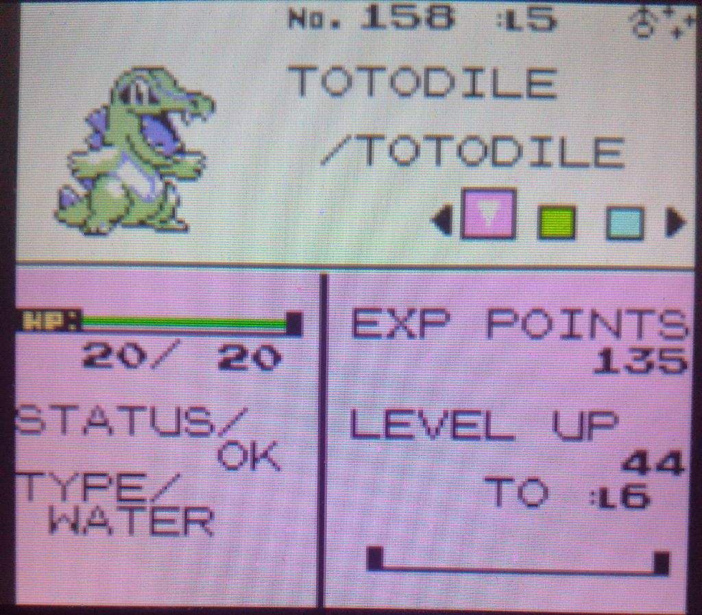 Shiny Totodile Found On Vc Gold Pokemon Amino