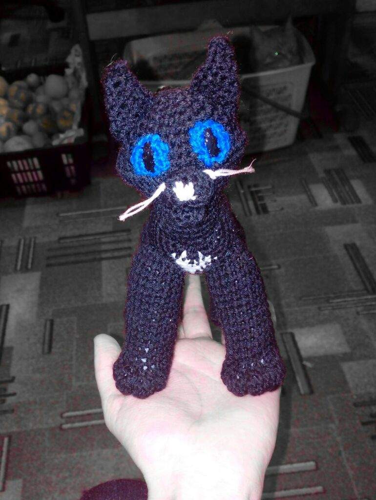 ravenpaw plush