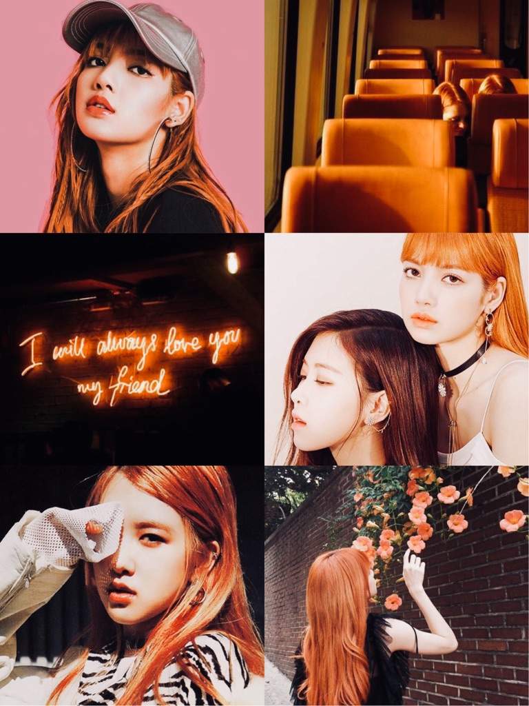 Chaelisa Aesthetic🍊 | BLINK (블링크) Amino