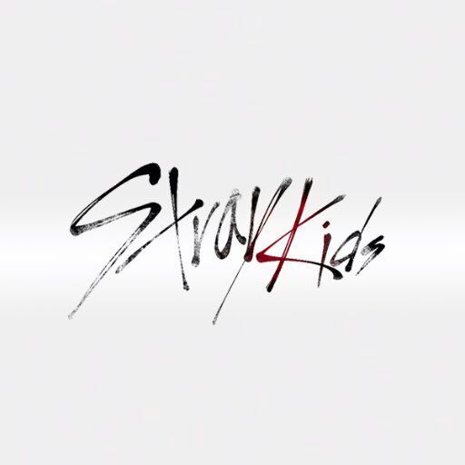 Картинки stray kids черно белые