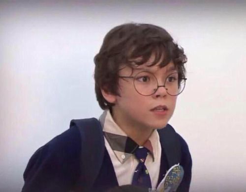 Seventeen In Harry Potter Vernon Stans Amino