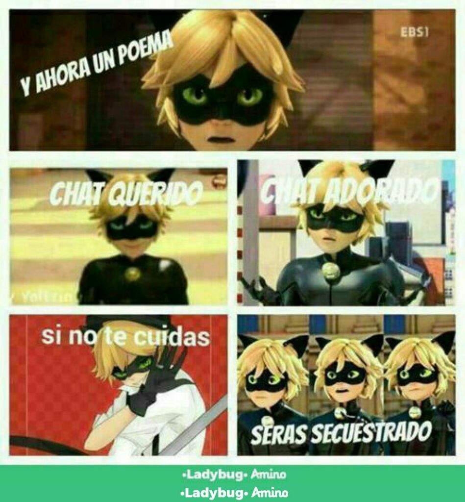 Lluvia De Memes 3 Miraculous Ladybug Espaol Amino