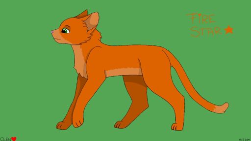 Stea de Foc | •Warrior Cats Art• Amino