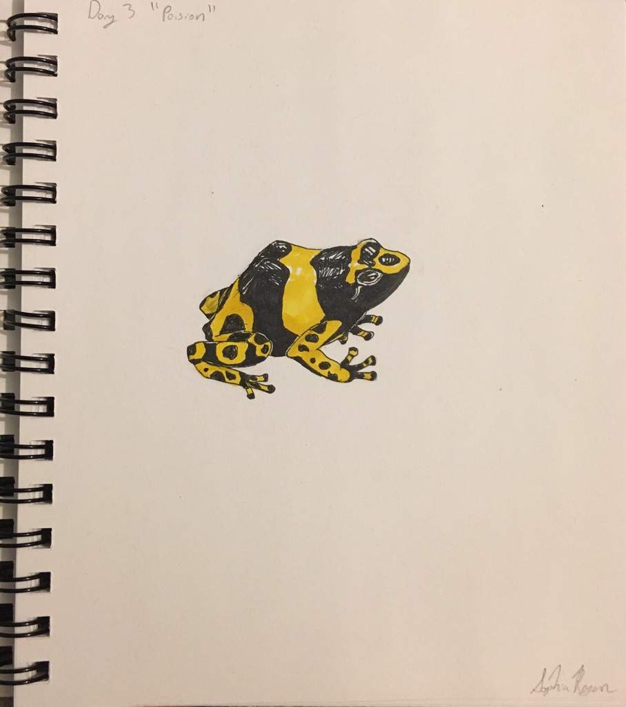 Poison Dart Frog Drawing | Reptiles Amino