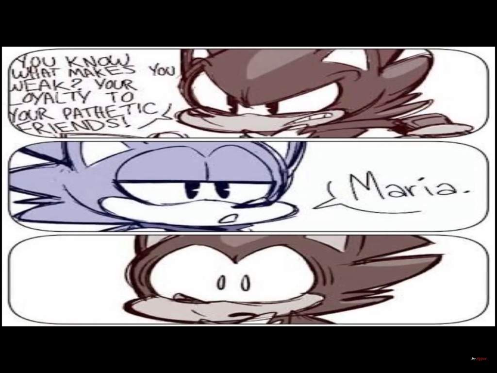 Hilarious Sonic Memes | Sonic the Hedgehog! Amino