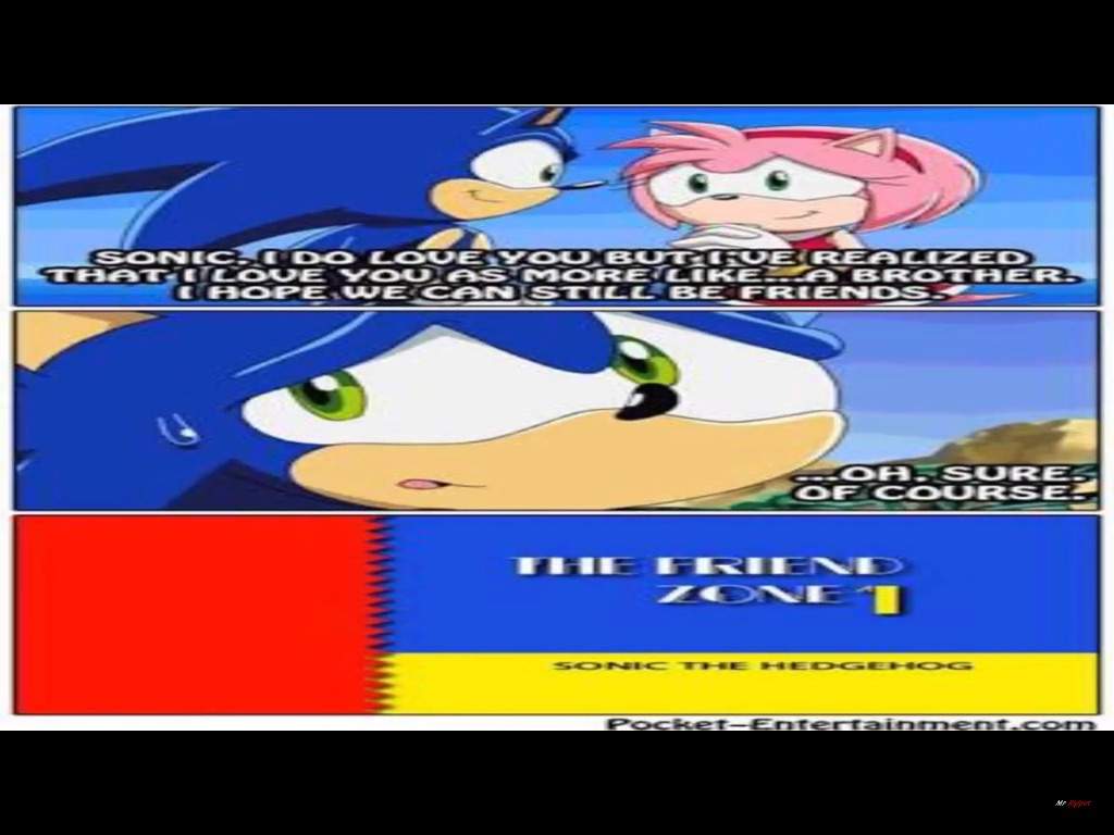 Hilarious Sonic Memes | Sonic the Hedgehog! Amino