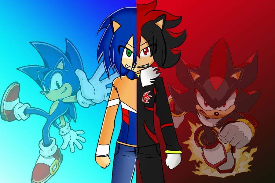 Sonic vs shadow.