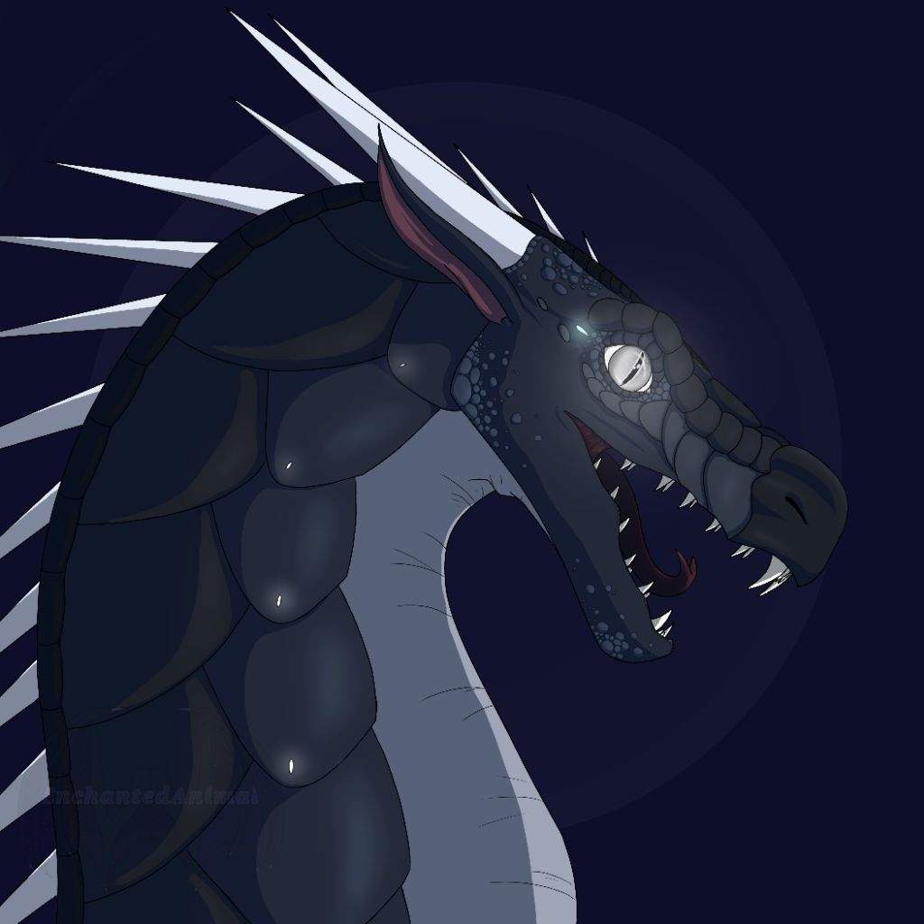 Wings Of Fire Darkstalker Art