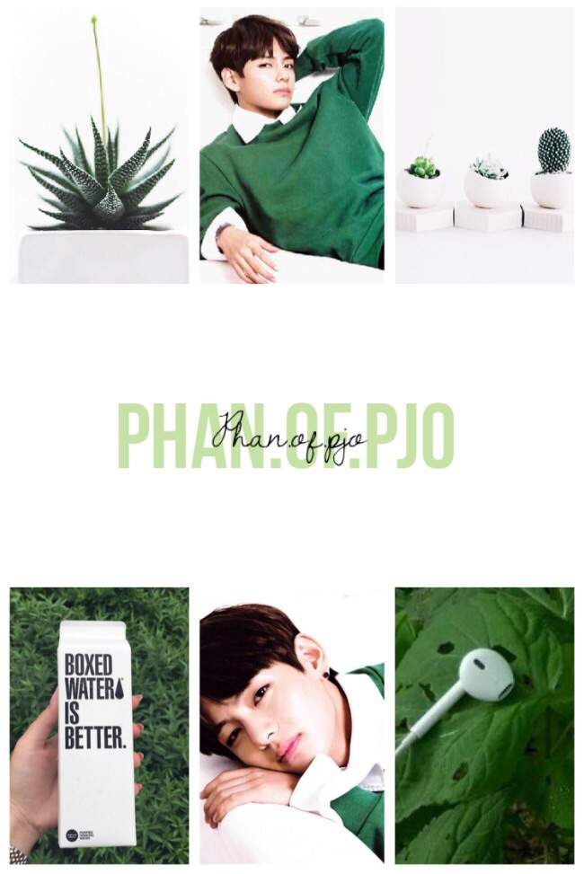 Green and White Tae | ARMY Aesthetics ♛ Amino