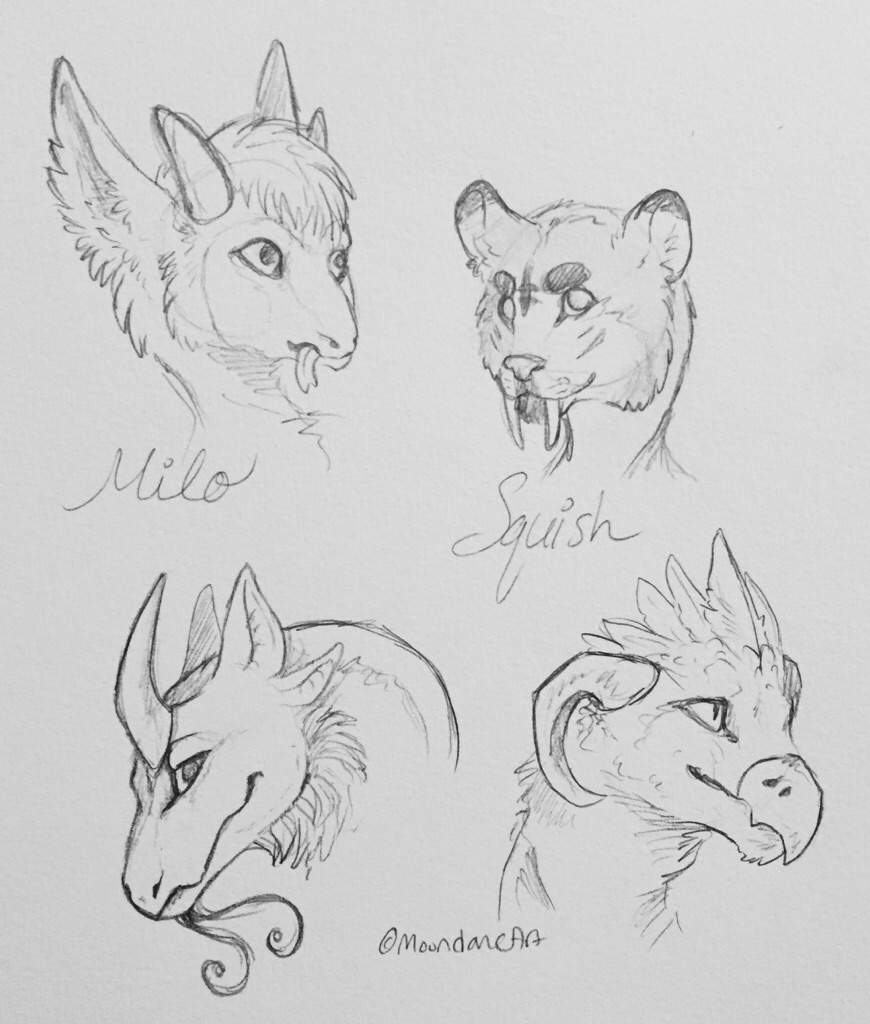 Mythical Sketches | Mythical Creatures and Beasts Amino