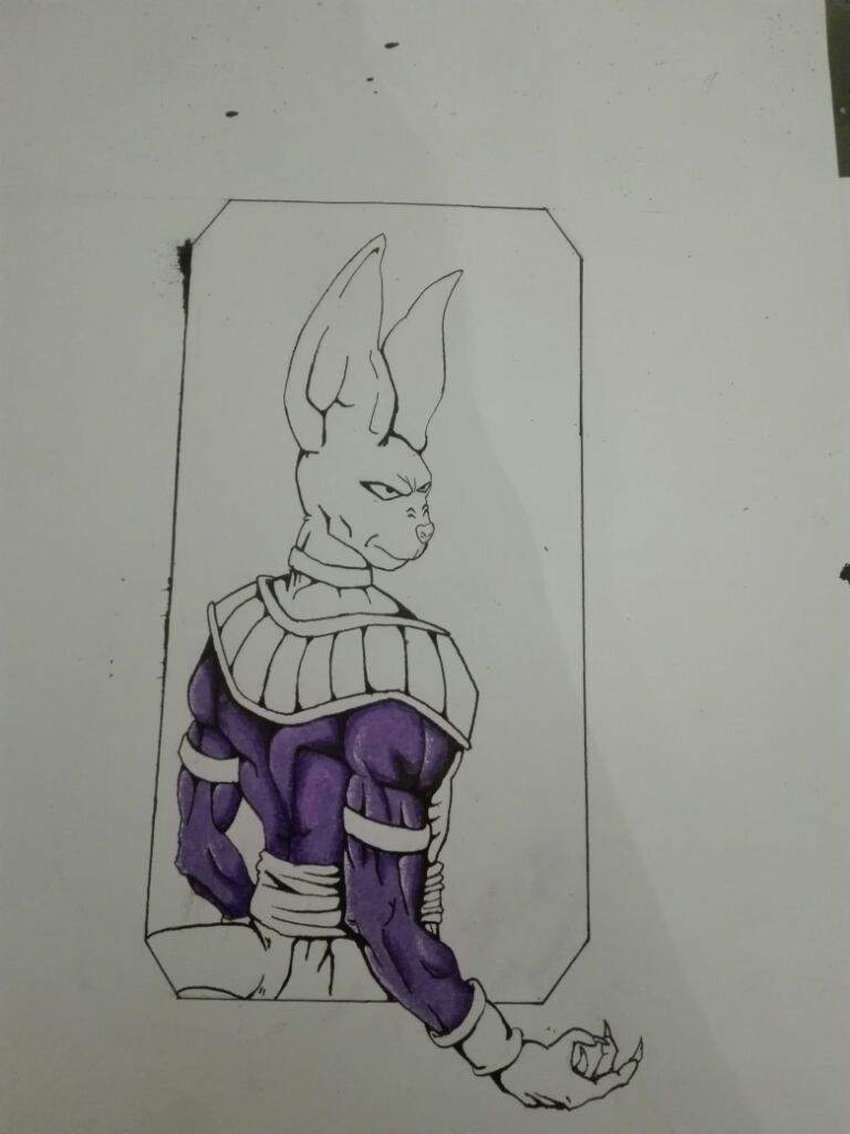 Beerus drawing!! | DragonBallZ Amino