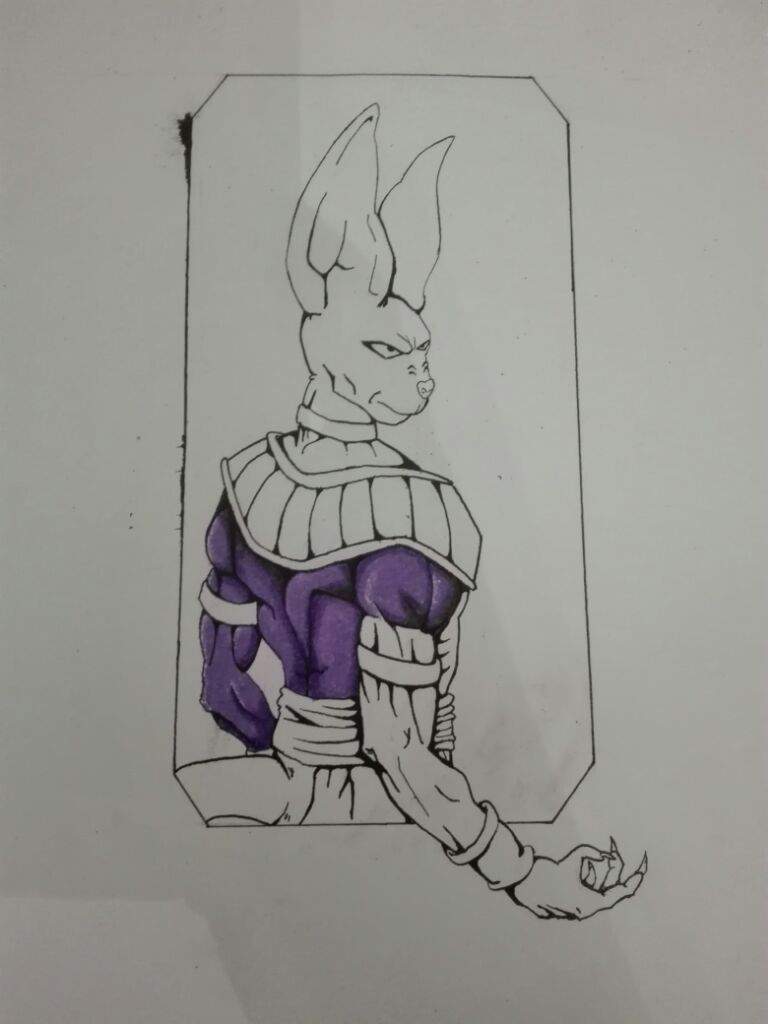 Beerus drawing!! | DragonBallZ Amino