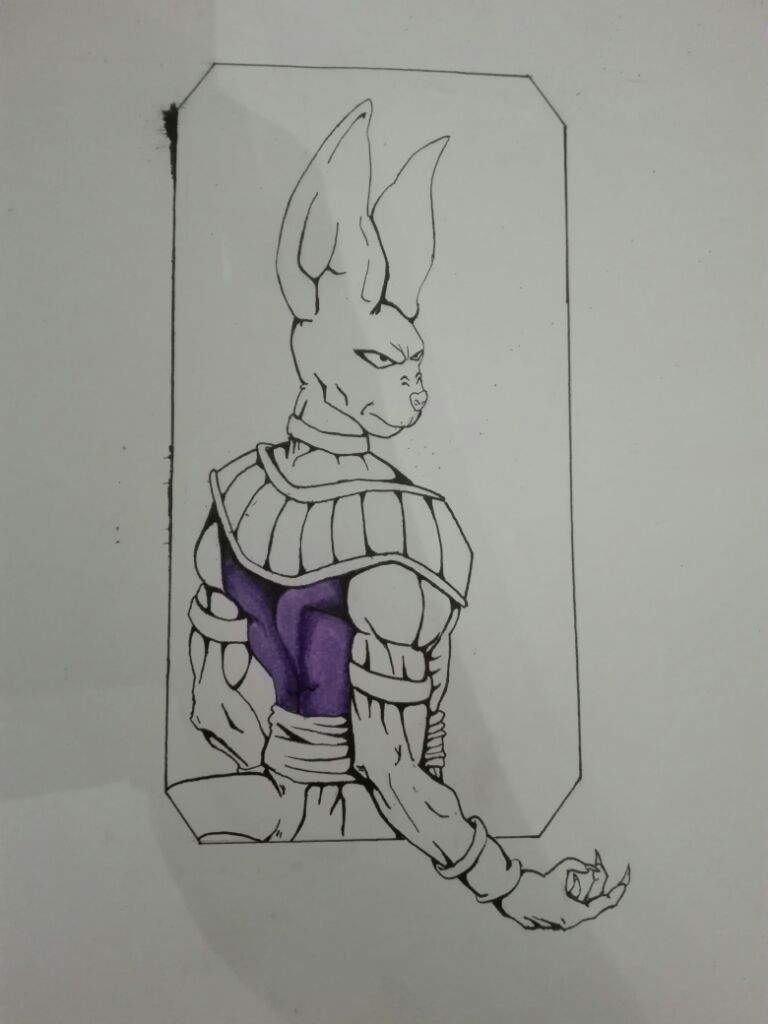 Beerus drawing!! | DragonBallZ Amino