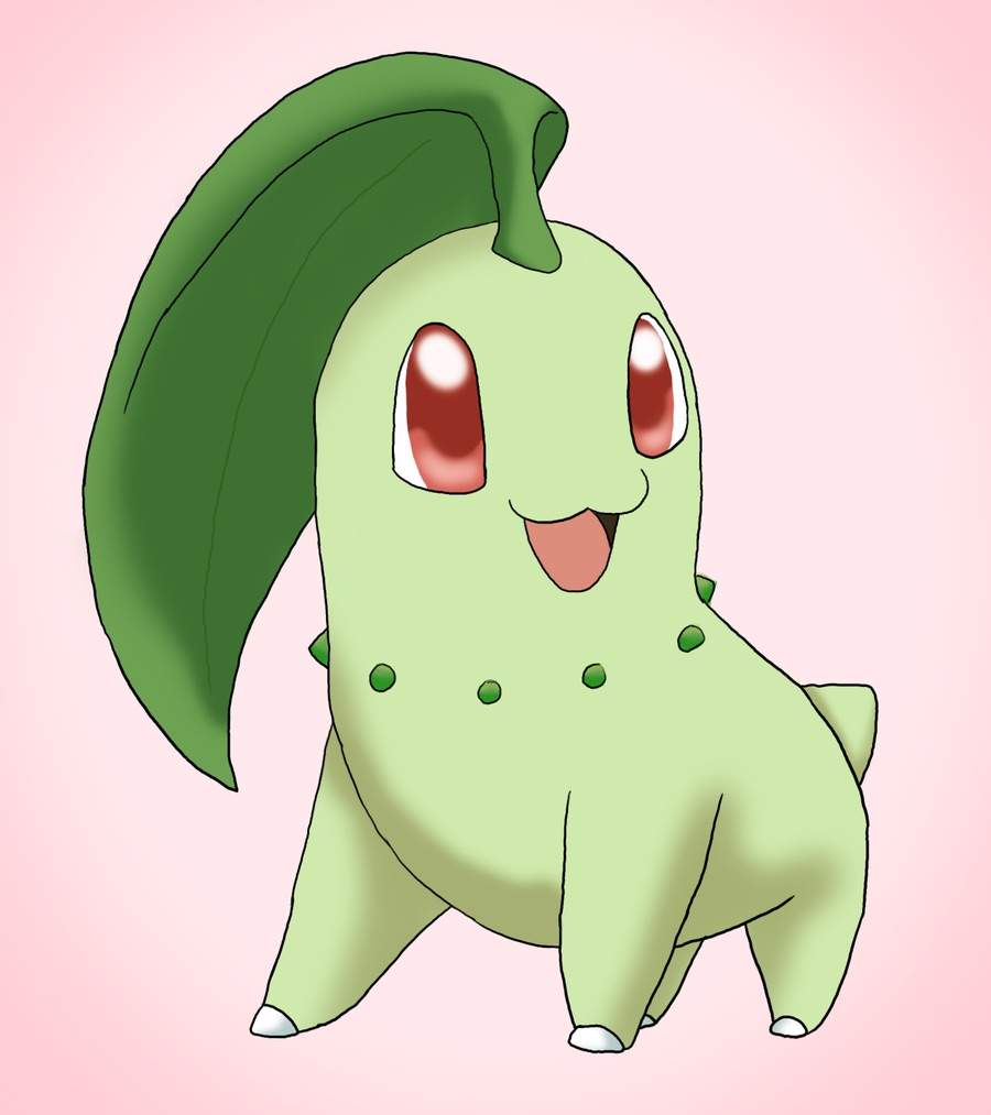 Chikorita | Wiki | Pokémon Amino