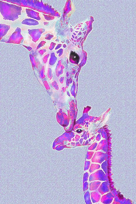 PURPLE GIRAFFIES | Wiki | Weirdos Amino