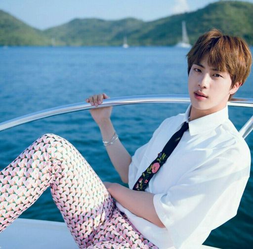 Princess Jin🌼 | Wiki | ARMY's Amino