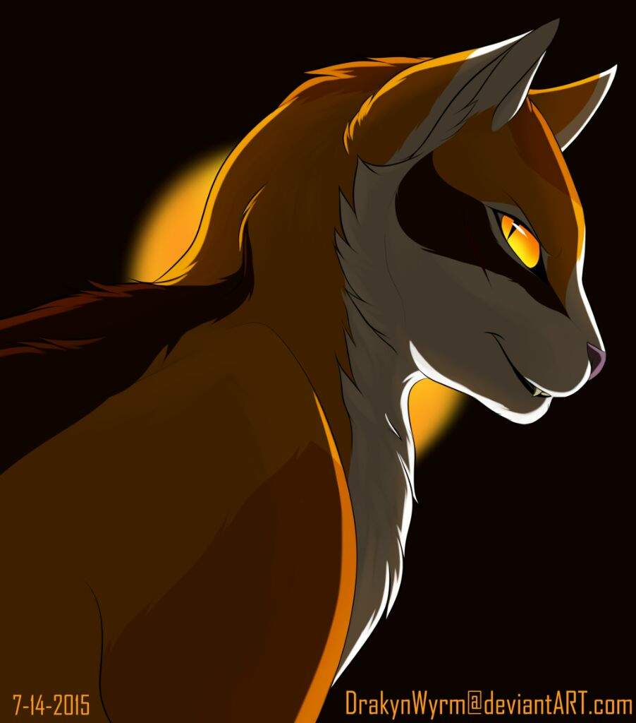 Mapleshade | Wiki | Thunderclan Warrior Cats Amino