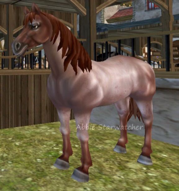 star stable database ghost