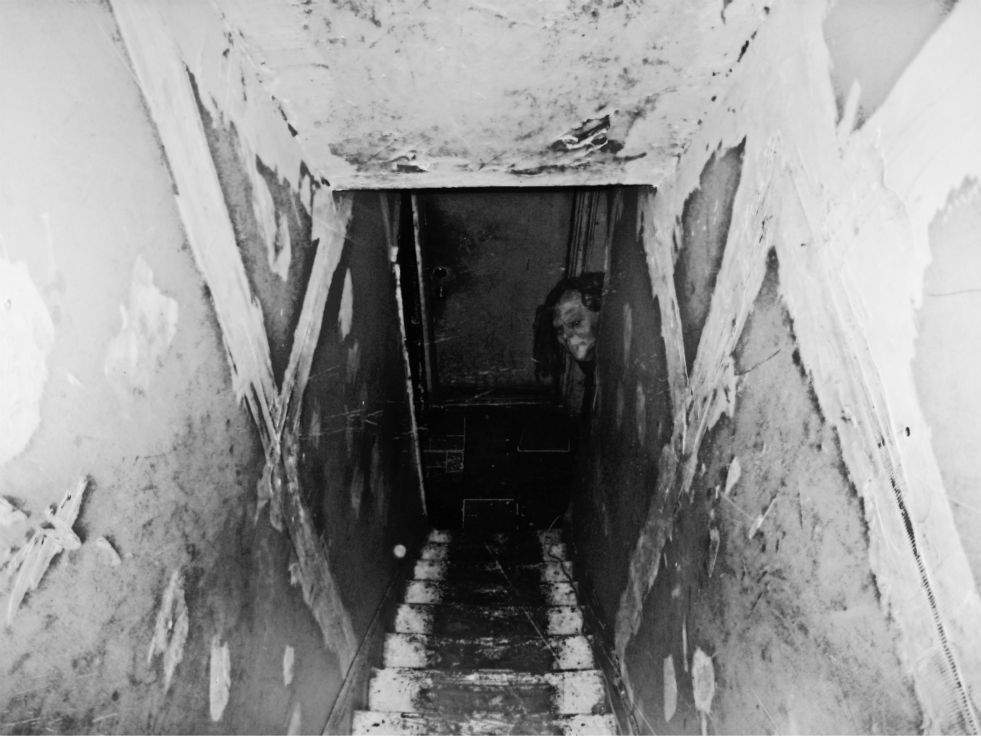 The Cellar Door Horror Amino