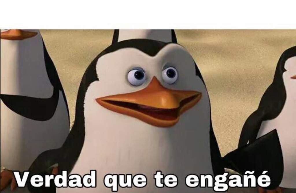 Plantilla Para Memes V Memes Plantillas Para Memes Imagenes Para Memes