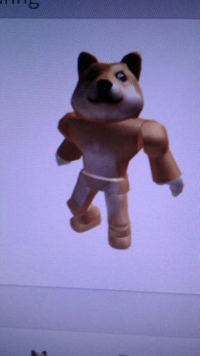 History Of Doge It S Freaking Messed Up Roblox Amino - history of doge it s freaking messed up