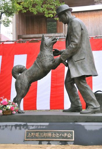Хатико в каком городе. Статуя Хатико Сибуя. Памятник Хатико. Статуя Хатико у станции Сибуя. Памятник собаке Хатико в Японии.