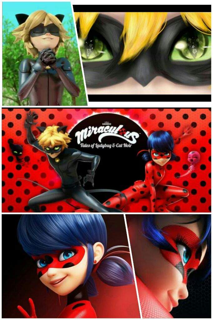 Montage Ladybug Et Chat Noir Miraculous Ladybug Fr Amino