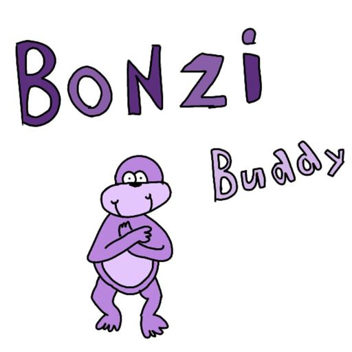 is bonzi buddy safe