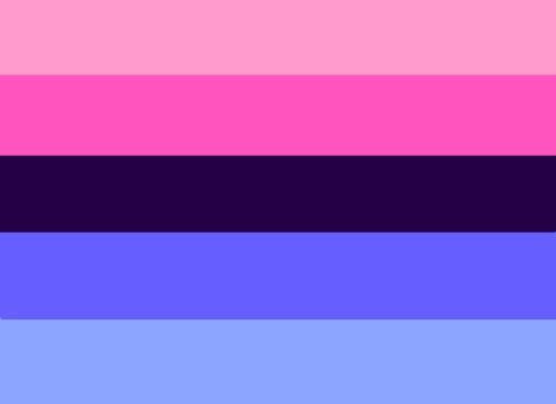 pick and blue gay flag meaning