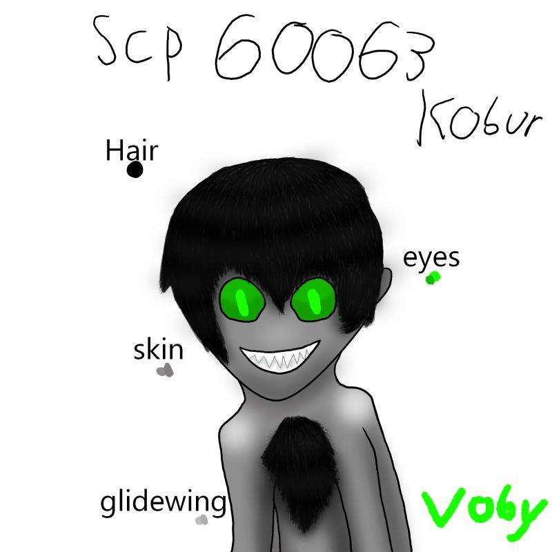 Scp reader. СЦП 045.