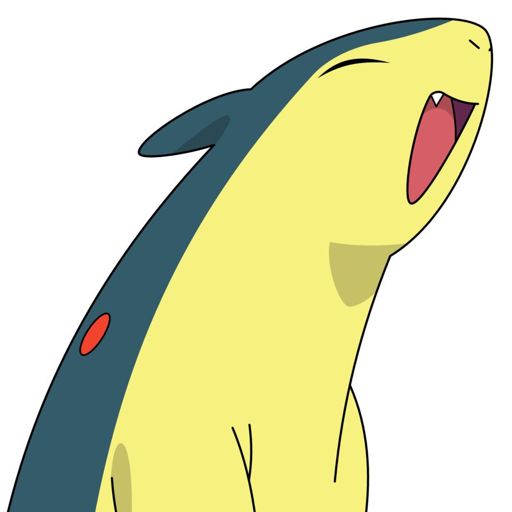 Shiny Typhlosion MY VERSION! 😄 | Pokémon Amino