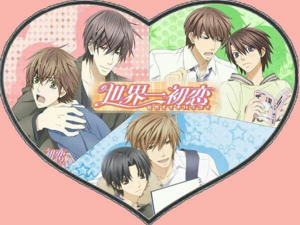 Sekai Ichi Hatsukoi Anime Amino