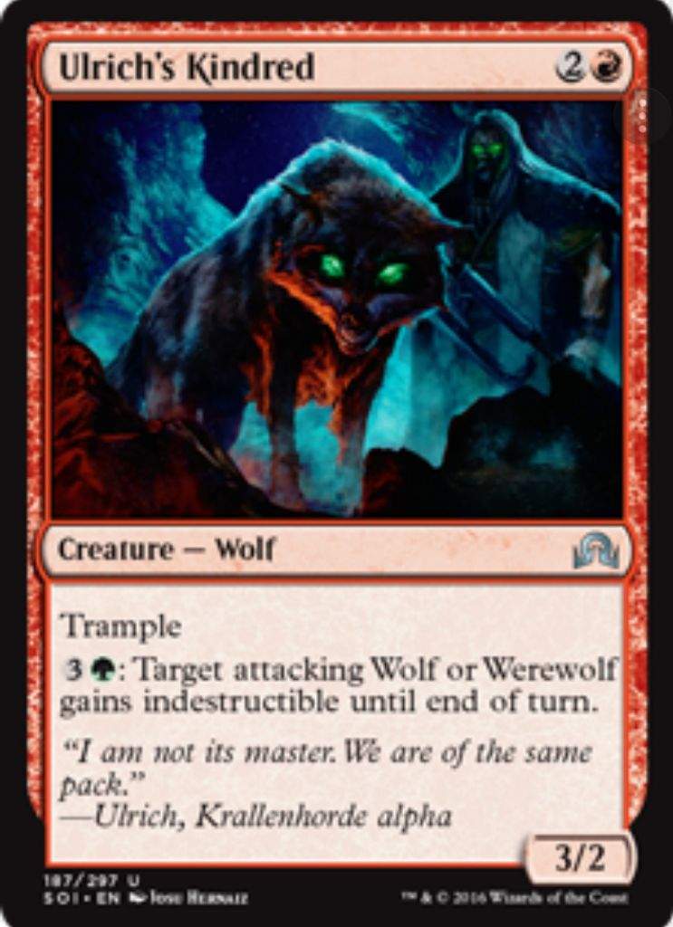 R G Wolf Werewolf Tribal Aggro EDH Deck Tech MTG Amino   9431d142a9c1c8358097f5ec39e178a4305f981e Hq 