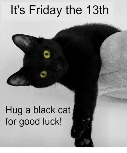 Funny Friday The 13th Black Cat