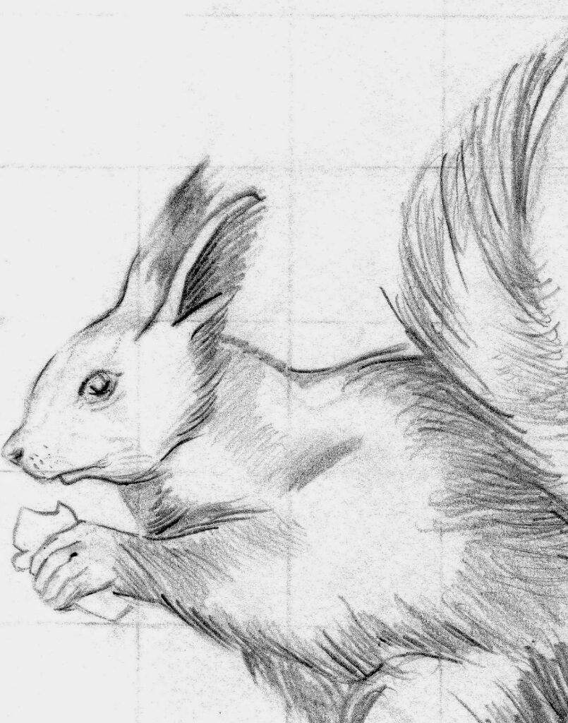 ¿como Aprender A Dibujar Un Animal A Lápiz Artes Y Pinturas Amino