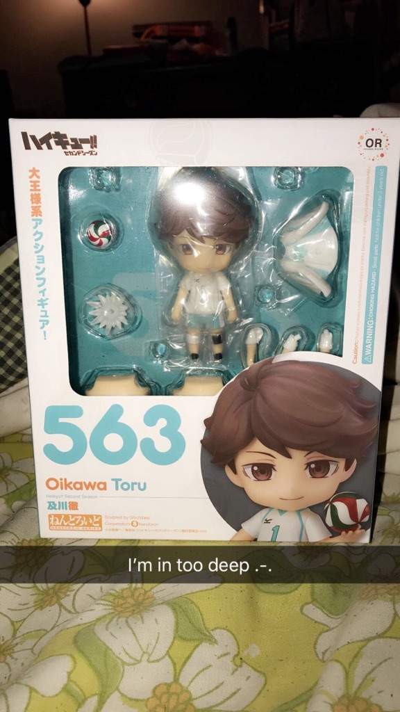 nendoroid 595