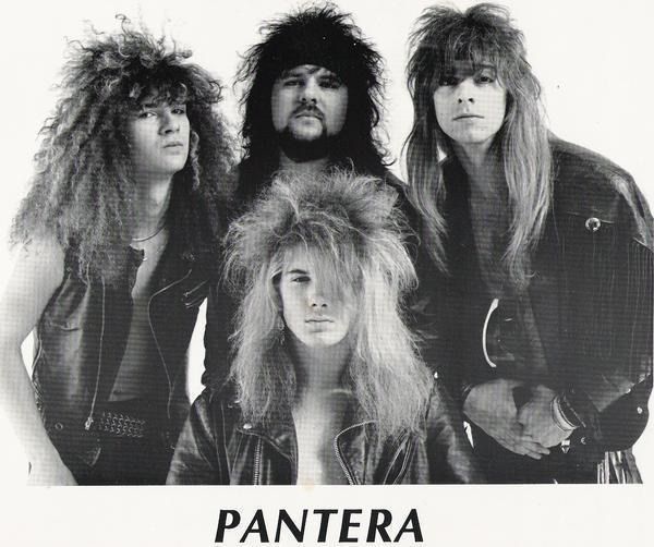 Pantera Wiki •metal• Amino