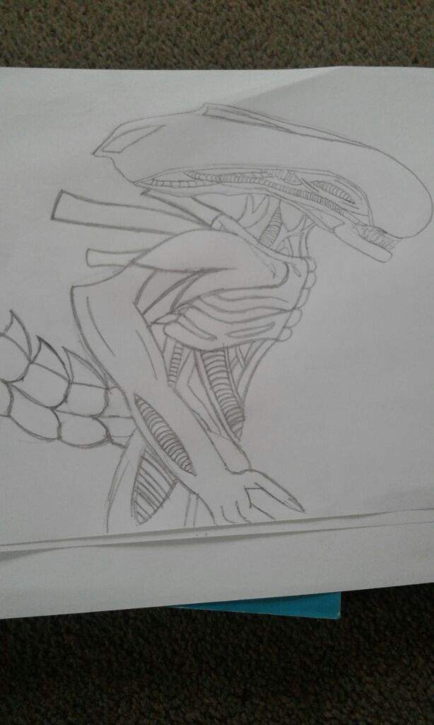 Xenomorph Drawing Alien Versus Predator Universe Amino