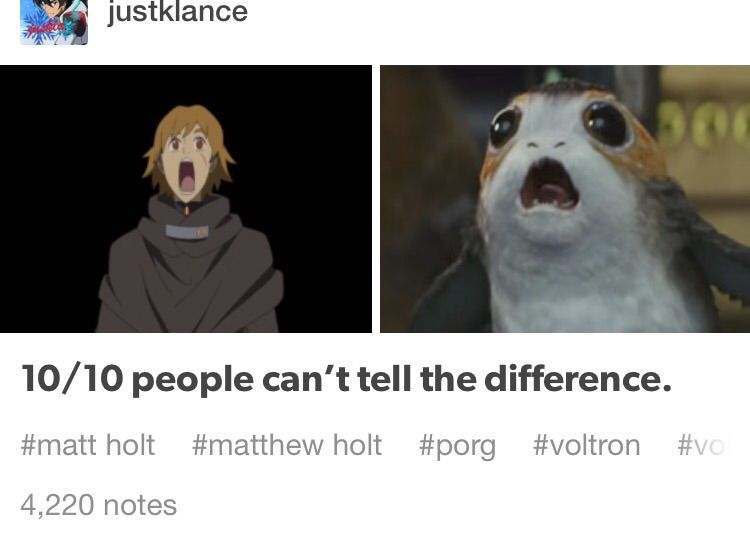 New Matt Holt Voltron Memes Holt Memes ÿ Memes ÿ Memes