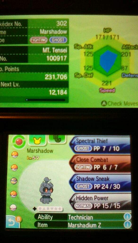 Got My Marshadow Today Nature And Moveset Guide