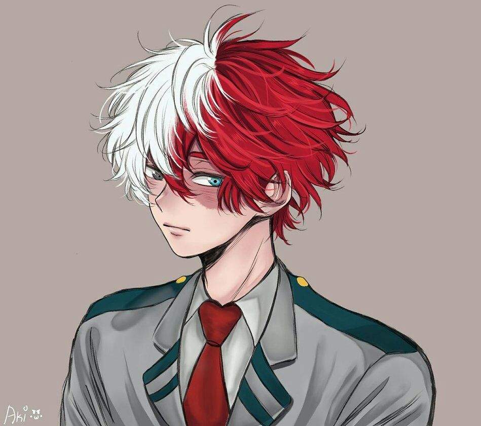 Todoroki shouto | Wiki | My Hero Academia! 💥 Amino