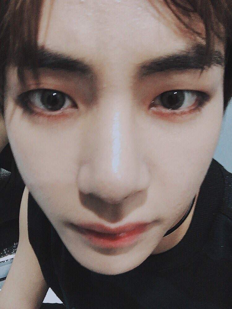 single eyelid and double eyelid