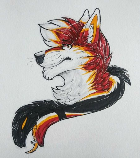 Arctica (Arti) | Wiki | Furry Amino