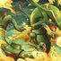 amino-🌴🐾Rayquaza🐾🌴#Hashtag-a2e2198f