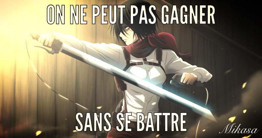 Citation Attaque Des Titans Francais Amino