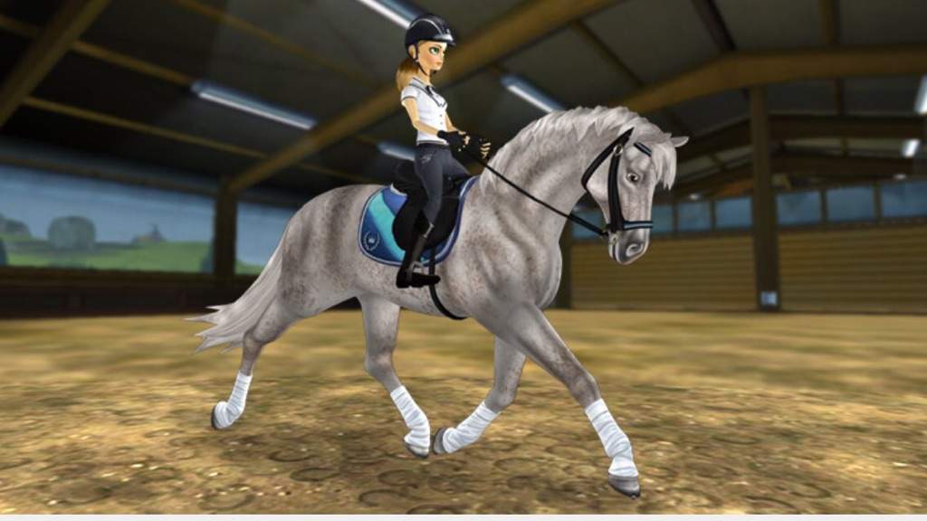 Star stable фото