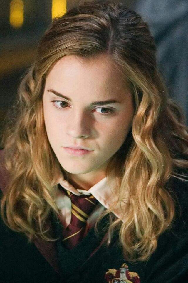 Ministre De La Magie Harry Potter 7 Challenge Ministre de la Magie😎😎 | Harry Potter Fr Amino