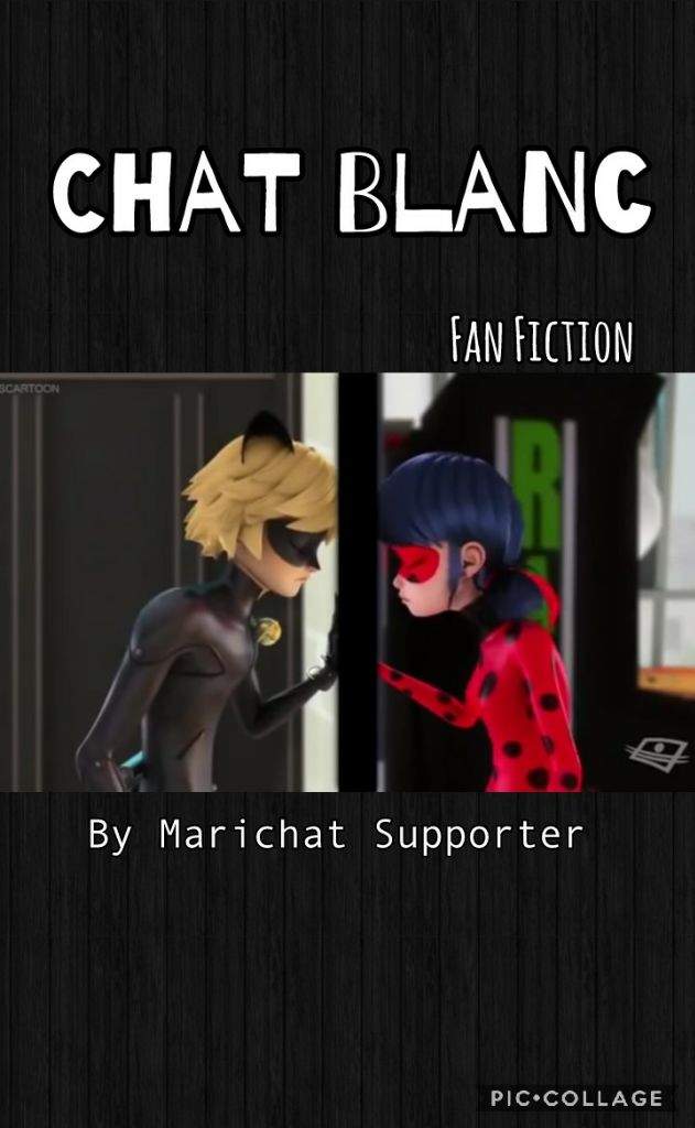 Chat Blanc Fan Fiction Part 12 Miraculous Amino