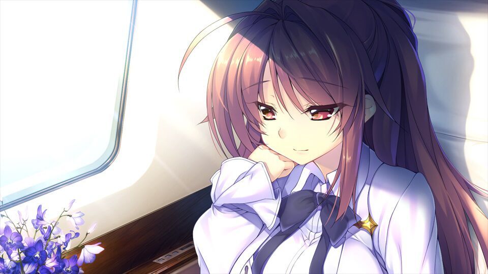 Visual Novel Eroge